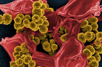 Hospital Sink Drains are a Total Horror Show of Germs